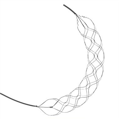 Stent Retrieval ڈیوائس